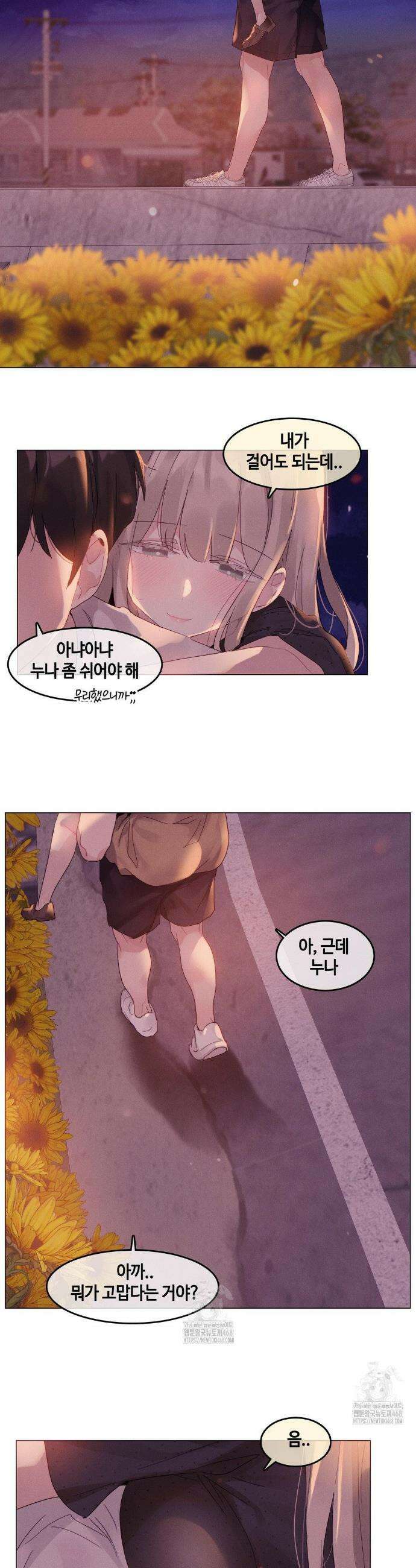 해바라기가 속삭이는 계절에 11화 15
