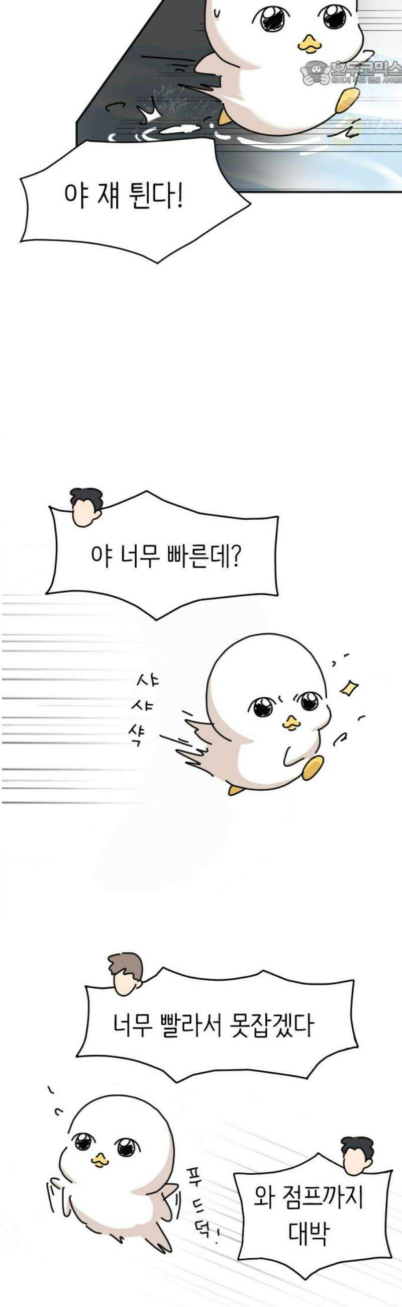 오리짱! 3화 함께 살게 되기까지(3) 37
