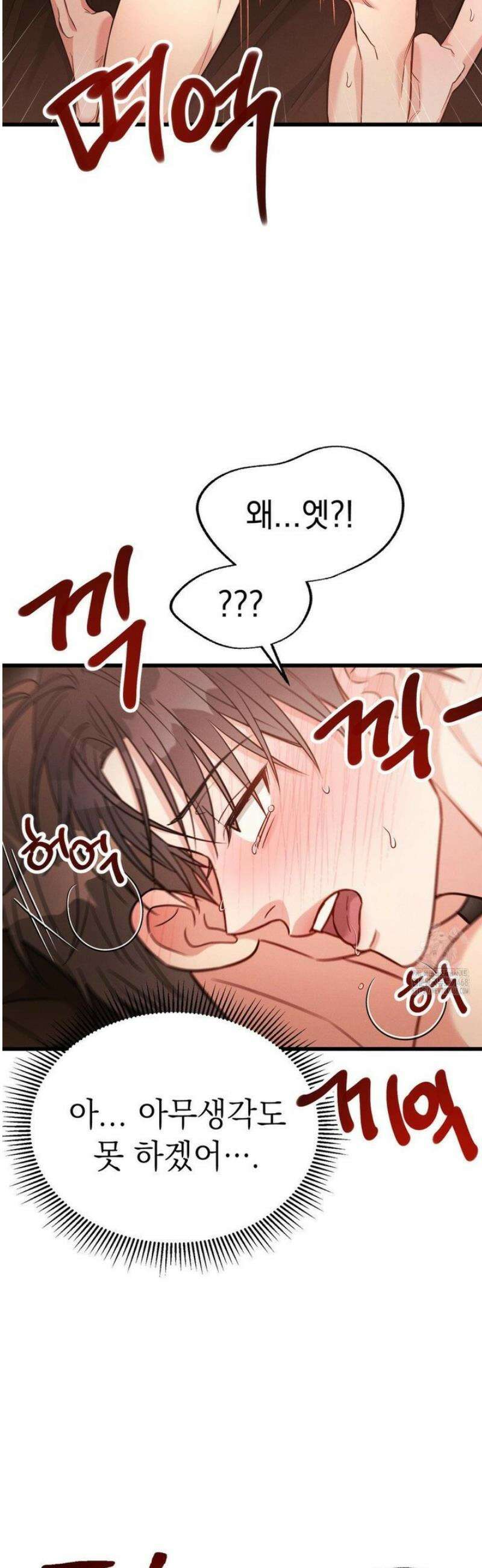 플라시보(레진) 외전 9화 25