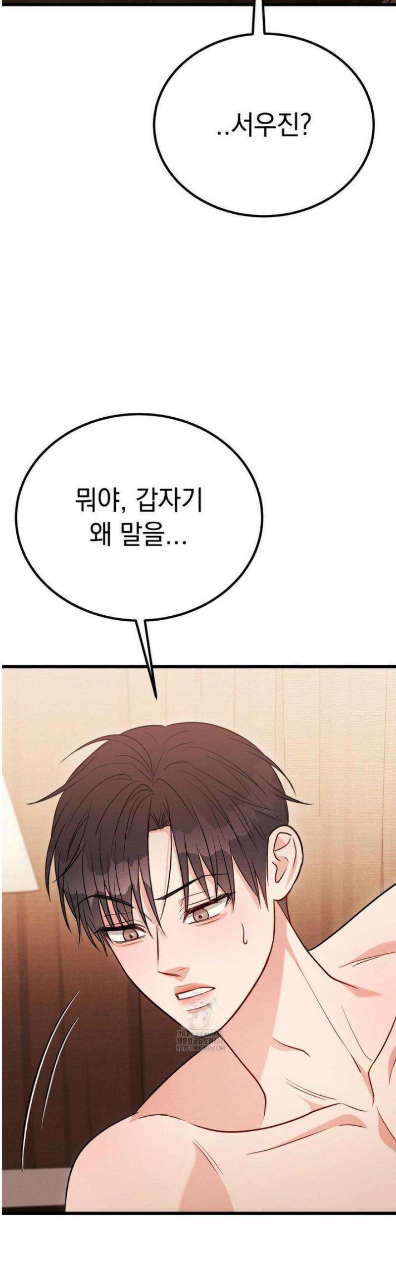 플라시보(레진) 외전 9화 39