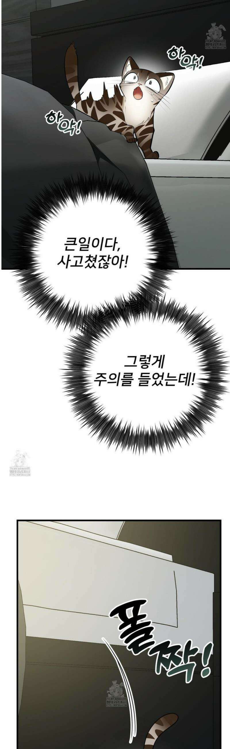 아기 삵을 낳아줘, 나 미치는 꼴 보기 싫으면! 2화 9