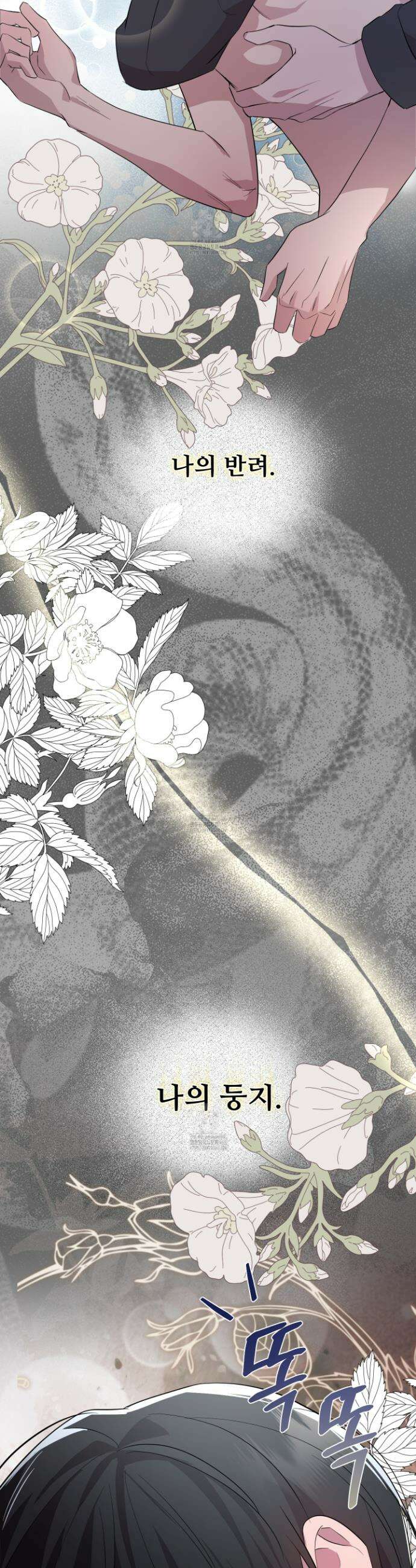 오윈 백작의 절륜 노예 5화 6