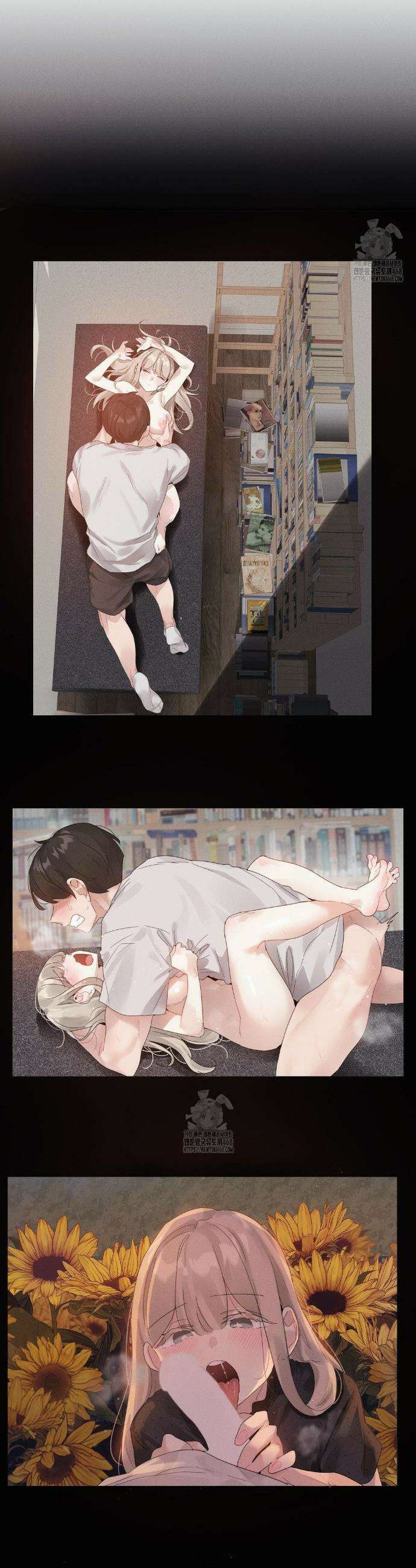 해바라기가 속삭이는 계절에 12화 4