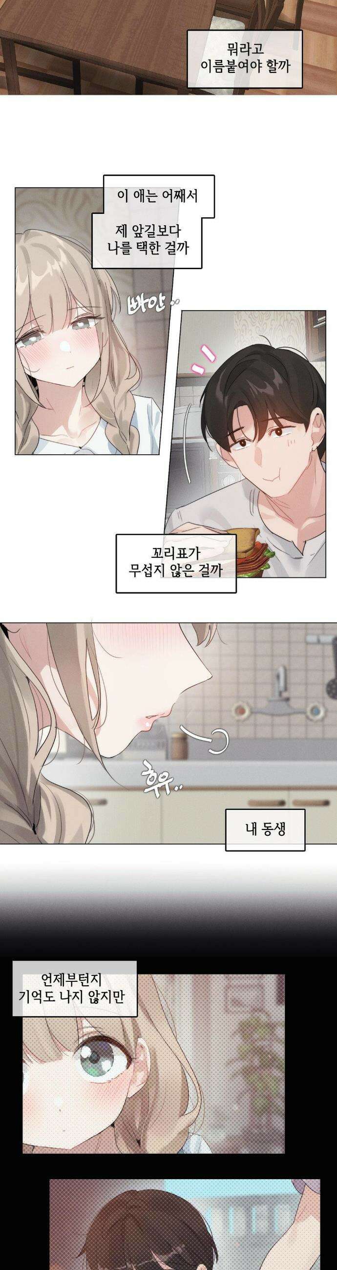 해바라기가 속삭이는 계절에 12화 11