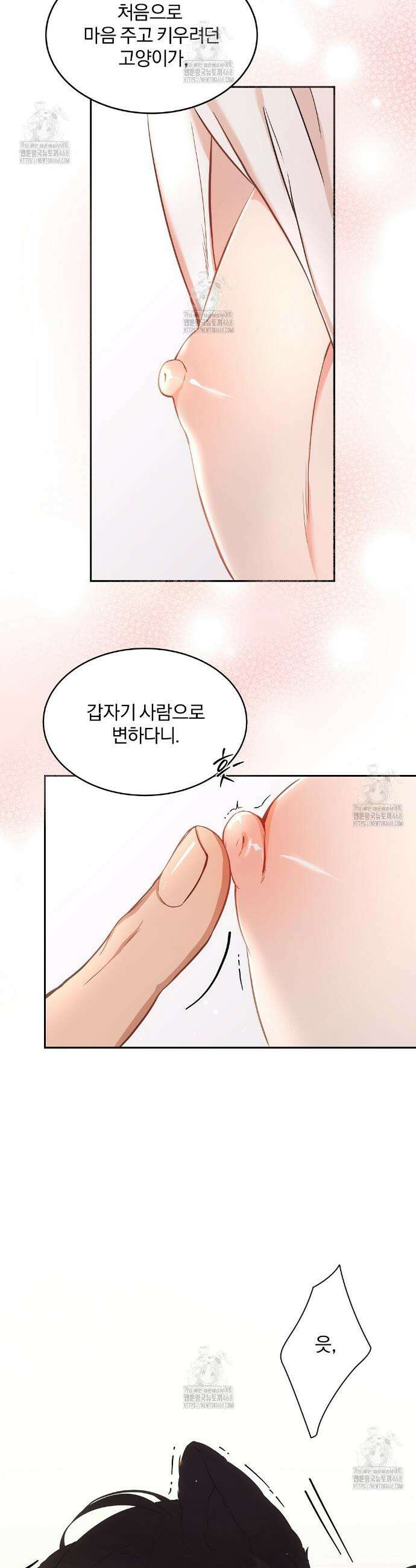 고양이 테라피 1화 6