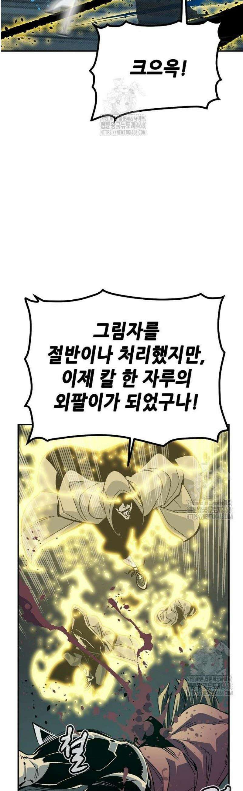 나 혼자 네크로맨서 203화 - 마왕과 용사와 무당 - 1 26