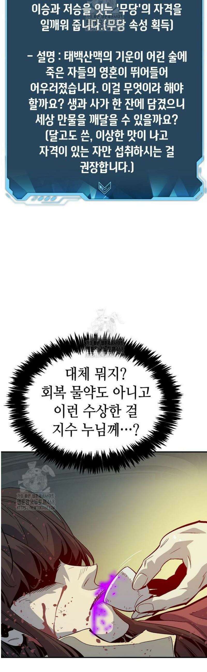 나 혼자 네크로맨서 203화 - 마왕과 용사와 무당 - 1 42