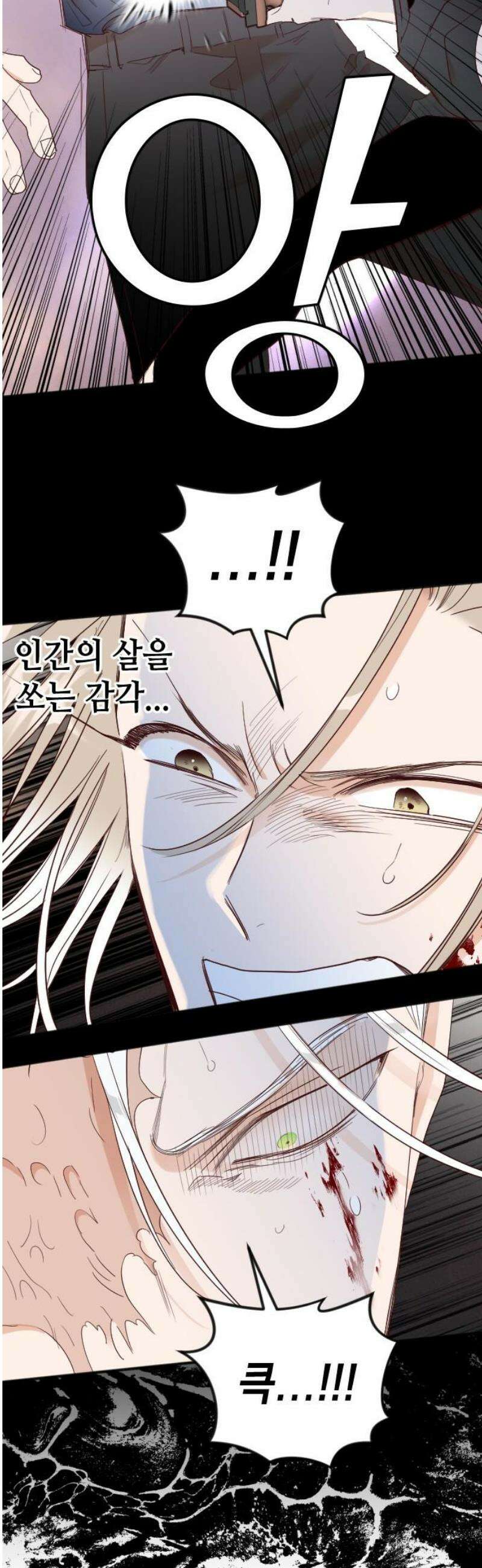 데빌샷 204화 최종장: 레퀴엠 (4) 29