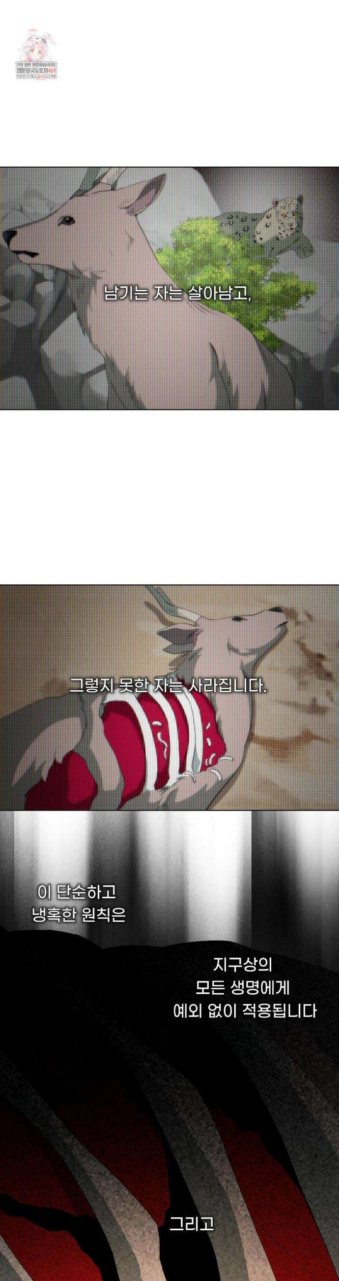 햇님반유치원동기 51화 2