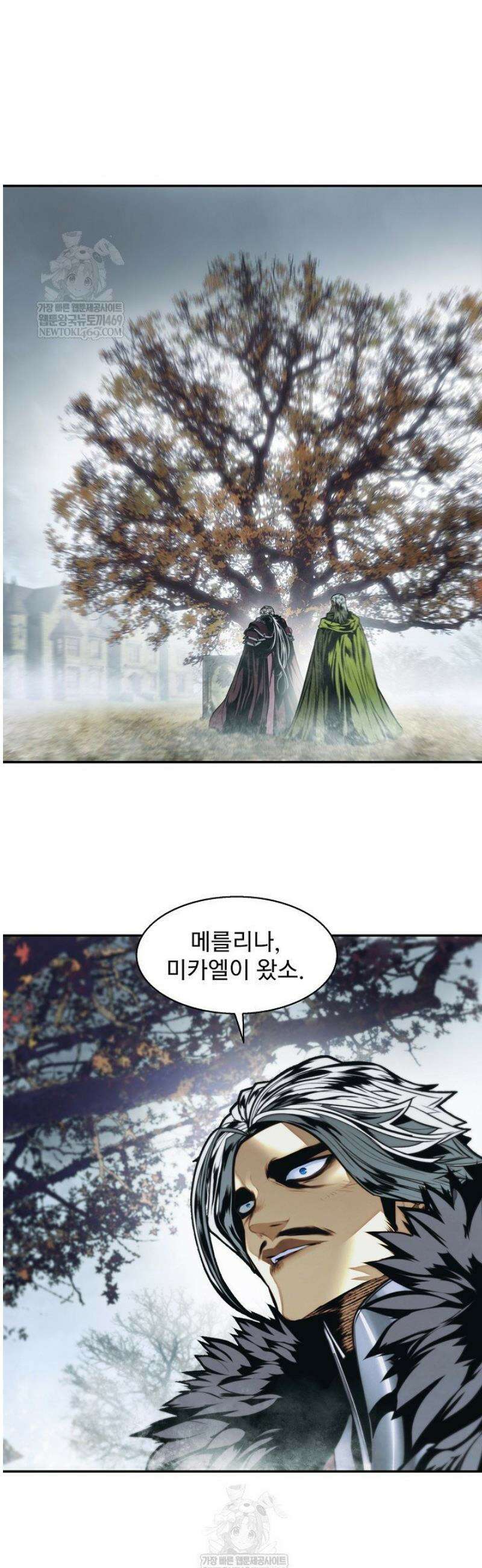 묵향 다크레이디 275화 8