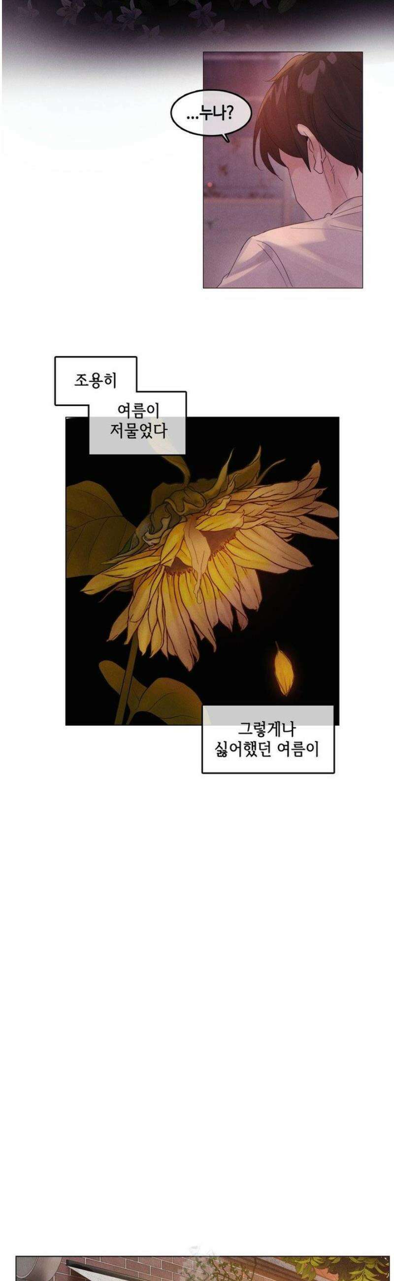 해바라기가 속삭이는 계절에 14화 [최종화] 16