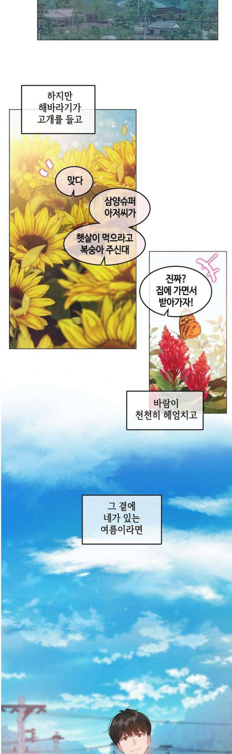 해바라기가 속삭이는 계절에 14화 [최종화] 27