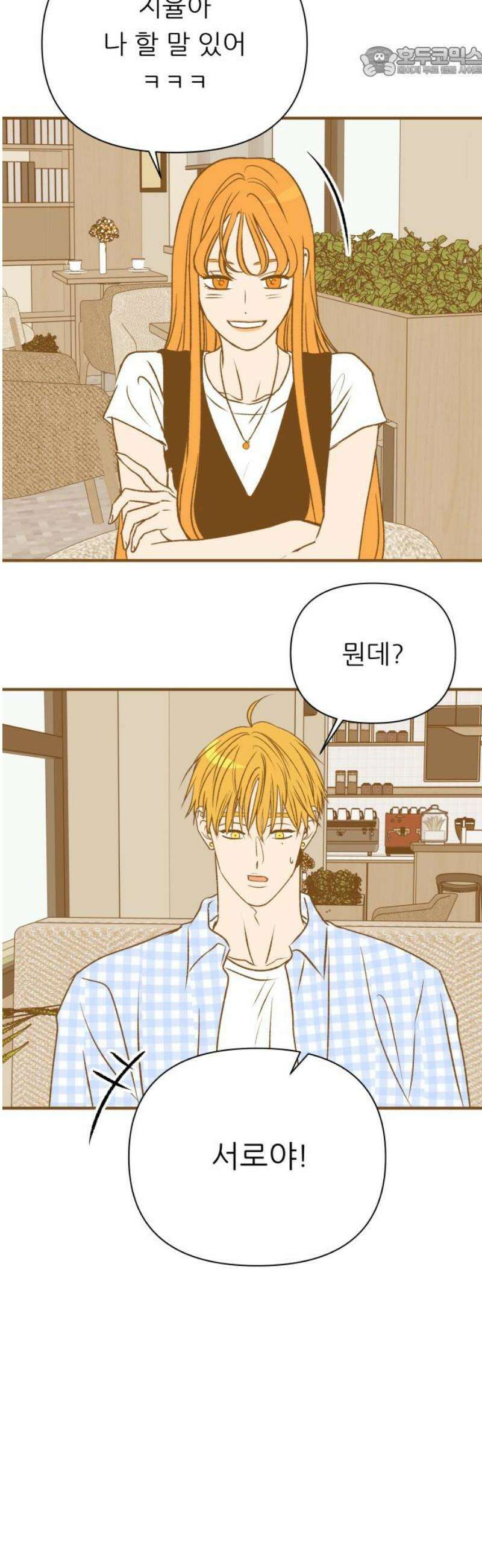 문스트럭 오렌지 스캔들 15화 52