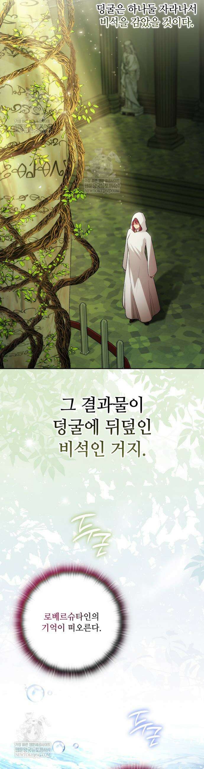 아도니스 293화 6