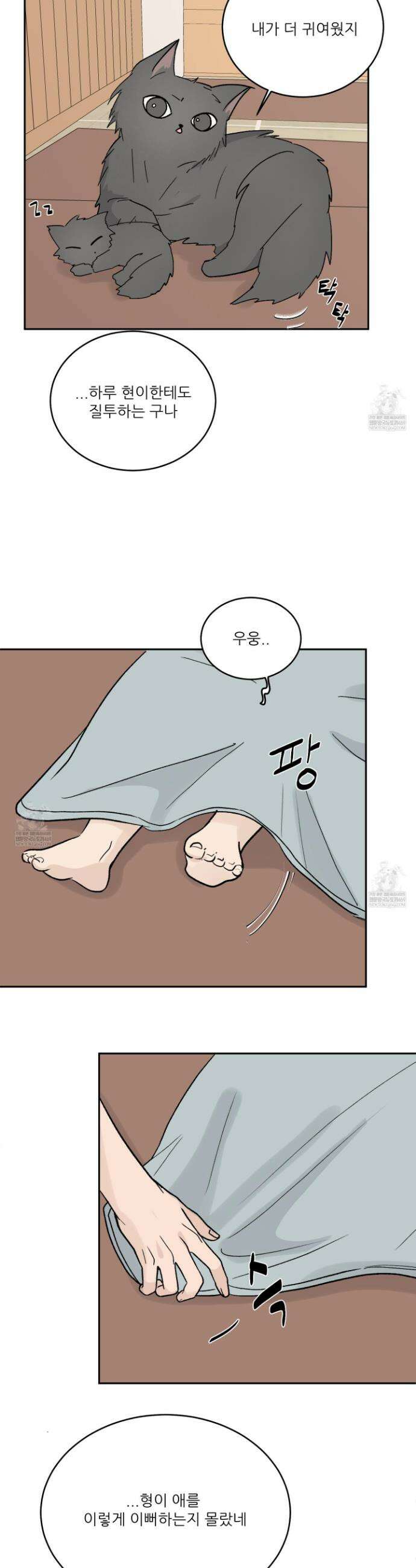 행방불명 로맨스 61화 27
