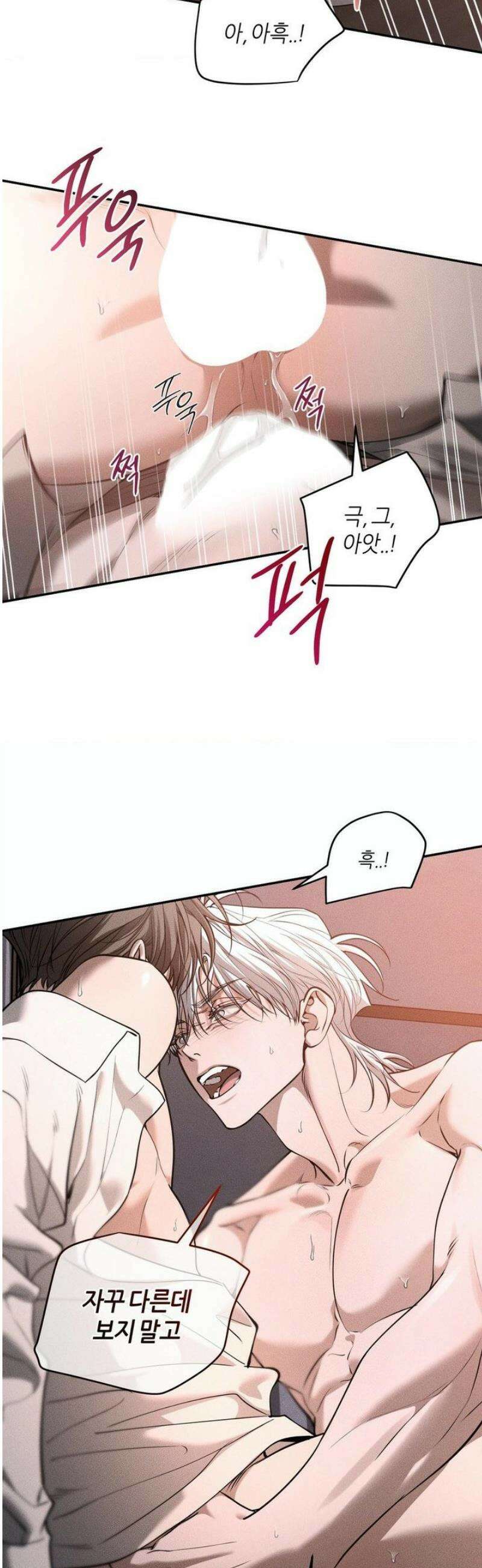 디어, 테디베어 53화 6