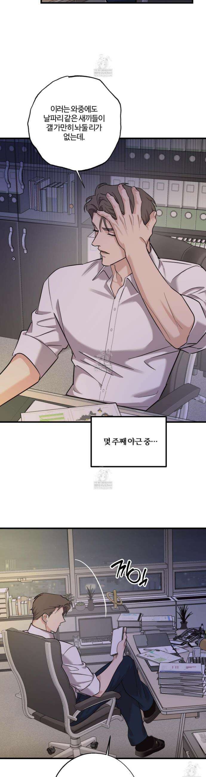임시 연애 경보 35화 26