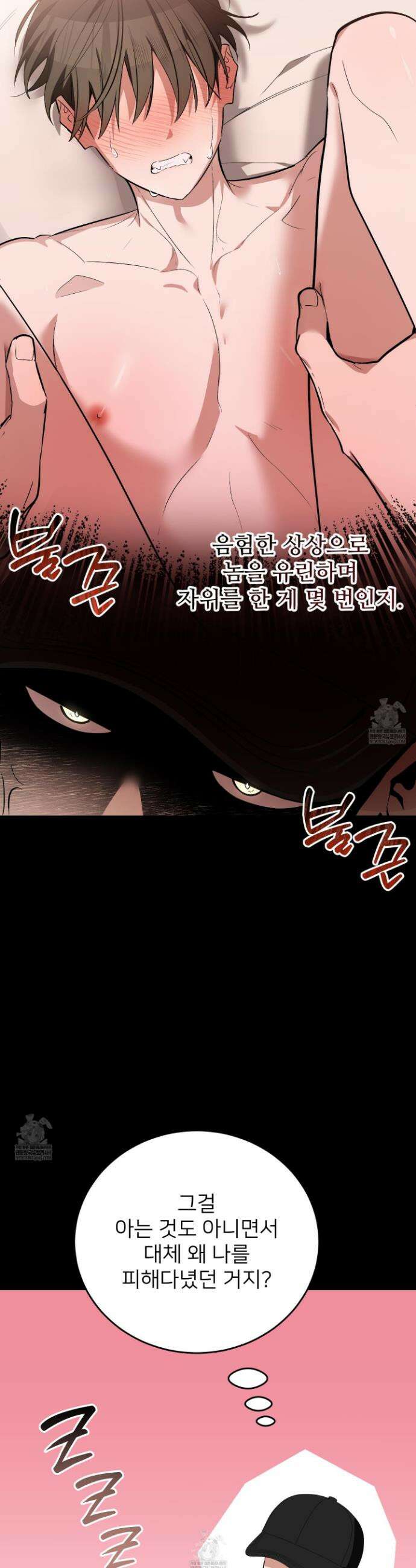 아기 삵을 낳아줘, 나 미치는 꼴 보기 싫으면! 17화 13