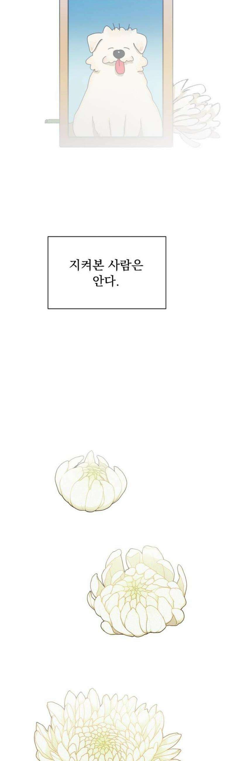 나의 개는 스피커로 짖는다 27화 5