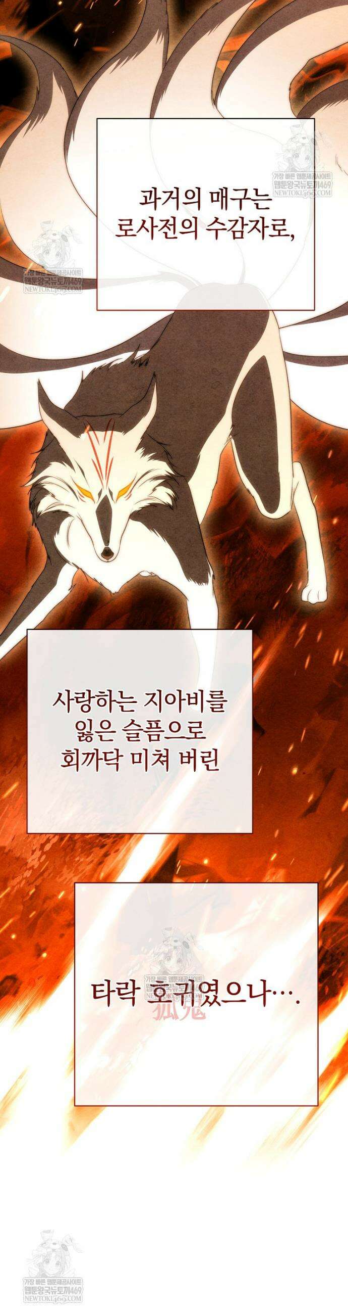 랭커를 위한 바른 생활 안내서 72화 2
