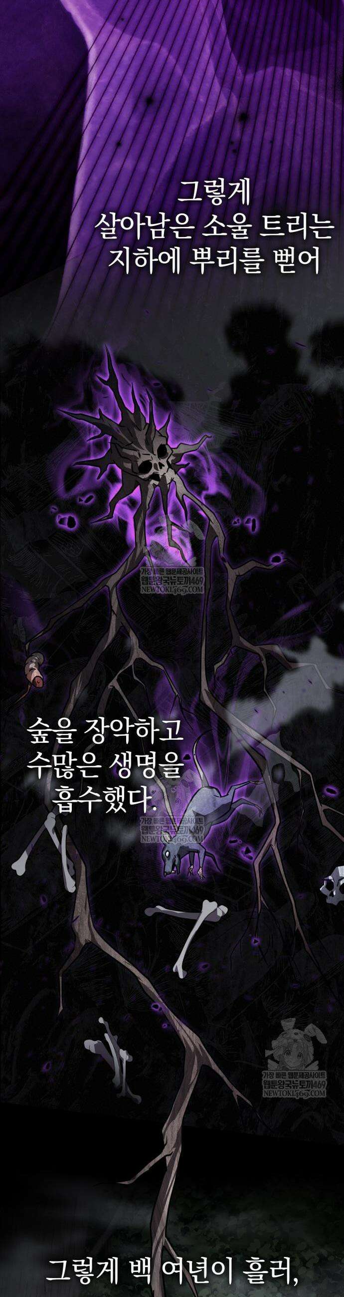 한계 찢는 천재마법사 38화 12