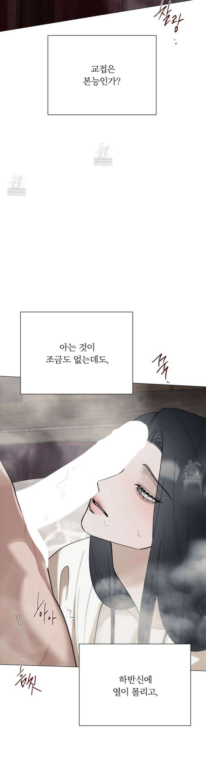 홍실퀘스트 39화 3