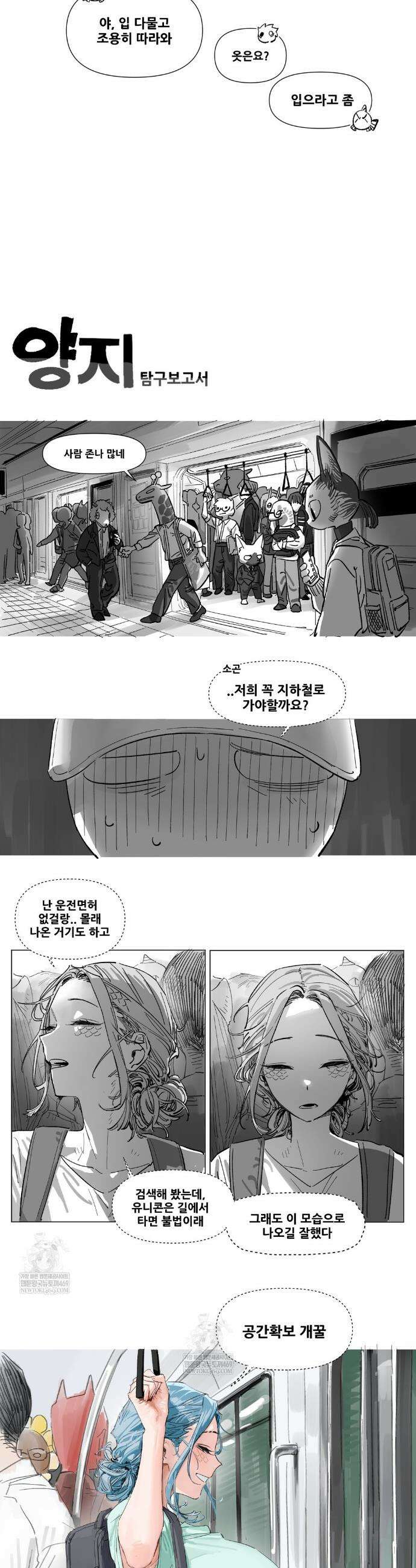 음지탐구보고서 37화 3