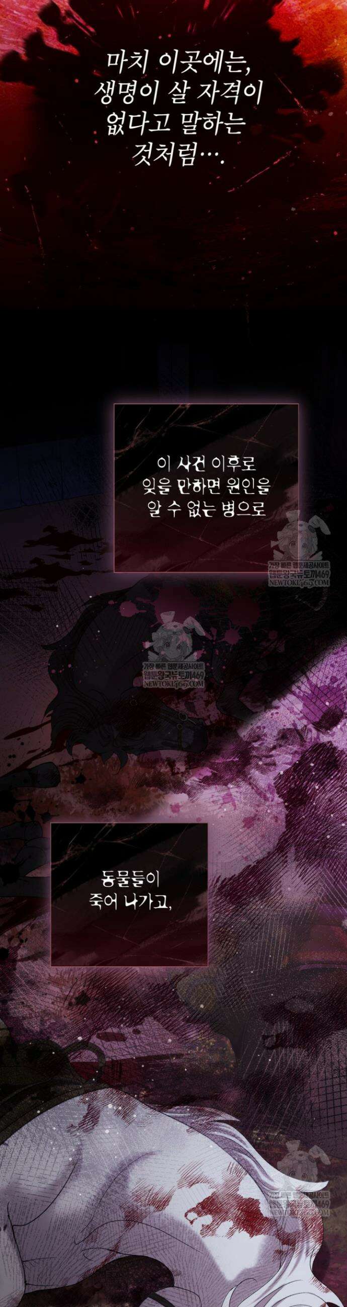 사랑받는 언니가 사라진 세계 102화 5