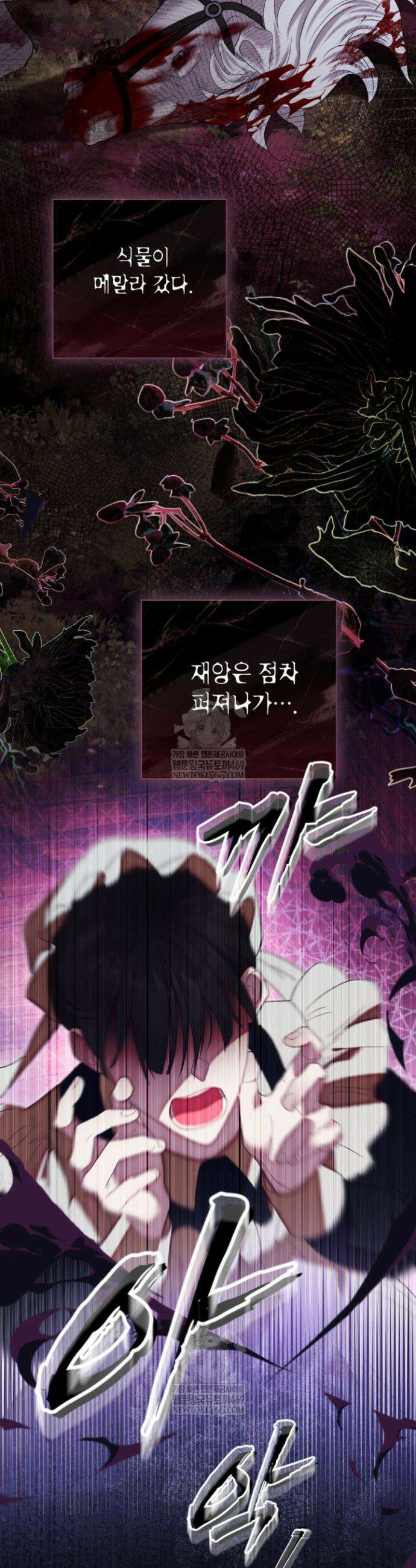 사랑받는 언니가 사라진 세계 102화 6