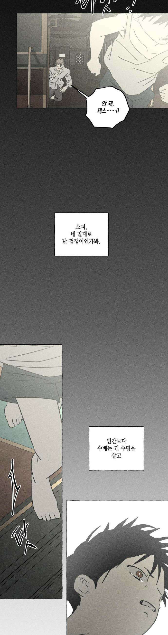 뼈와 꽃잎 70화 38