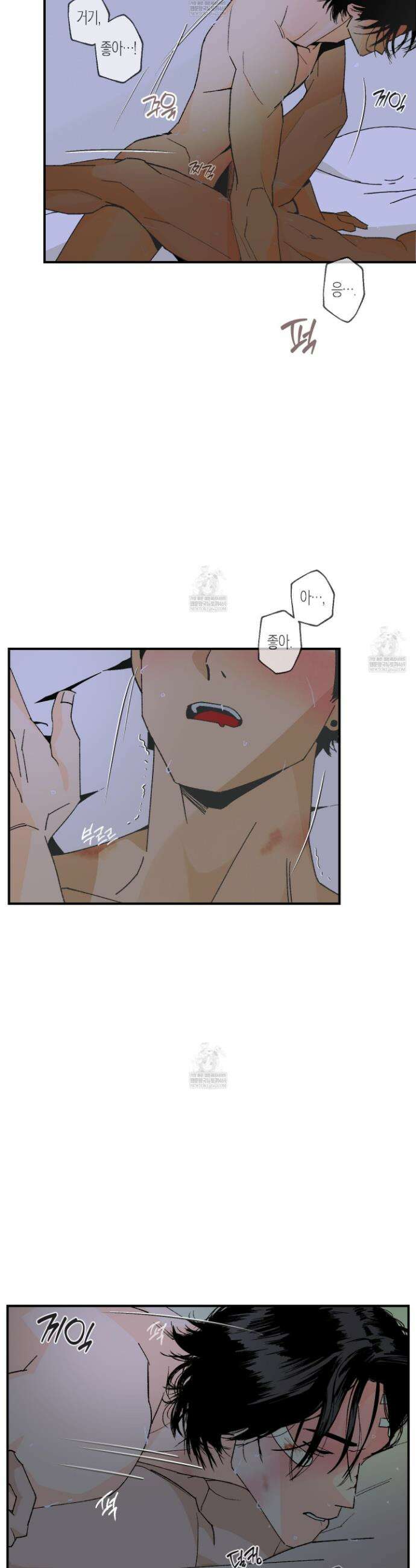 주의 평화 11화 3
