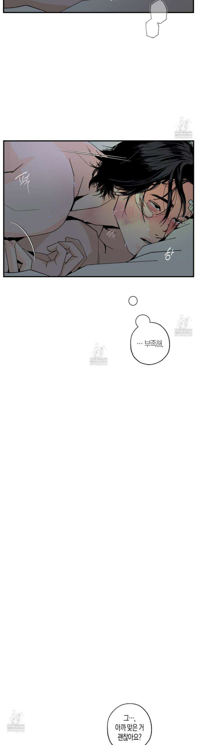 주의 평화 11화 4