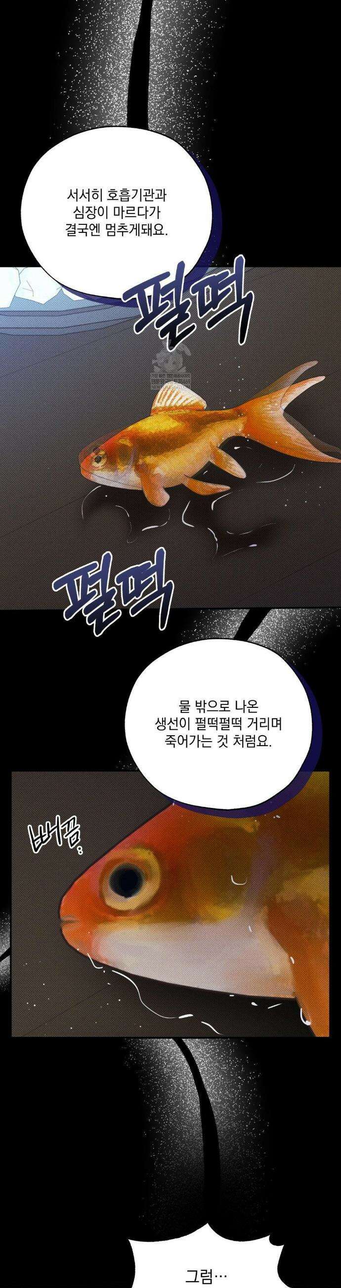 인어의 늪 45화 30