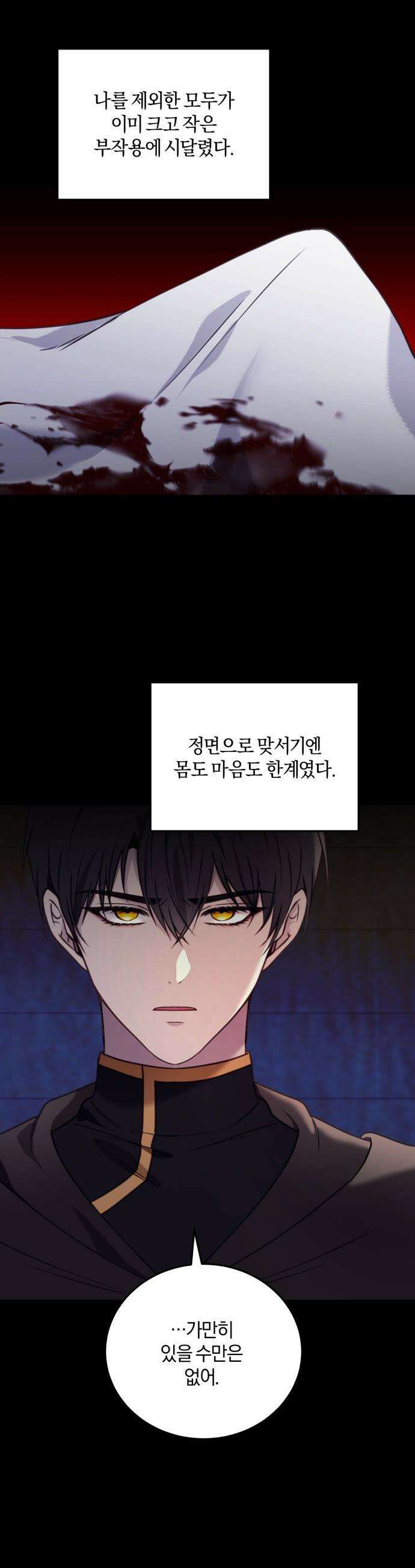 악녀는 조용히 살고싶을 뿐인데! - 67화 27