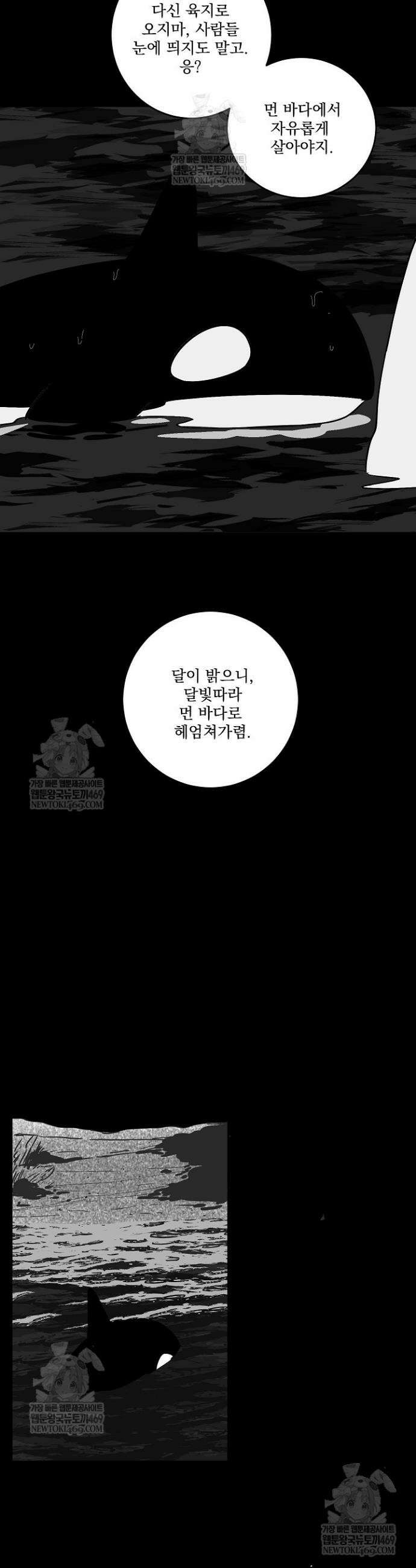 사건명 해일: 범고래 사냥법 설 특별편 16