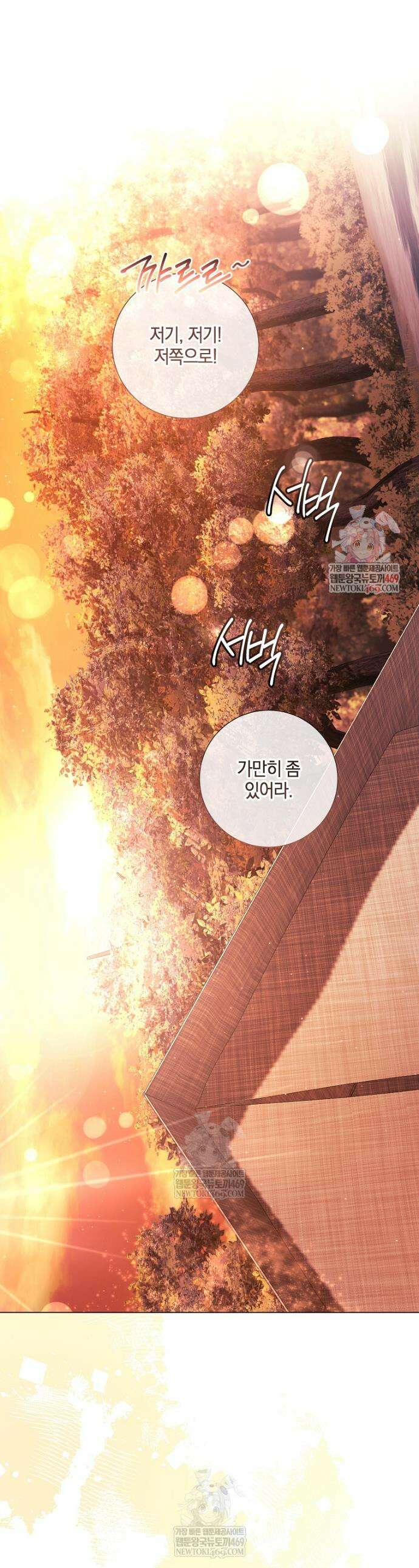 결혼도 안 했는데 무슨 이혼인가요, 폐하 74화 1