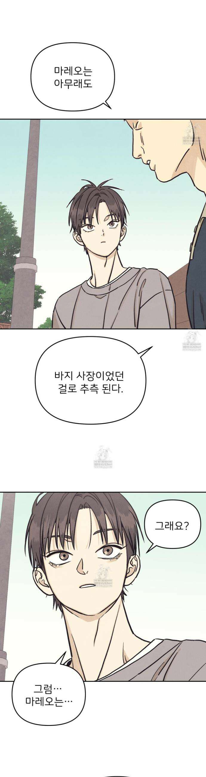 작전명 마레오 43화 4