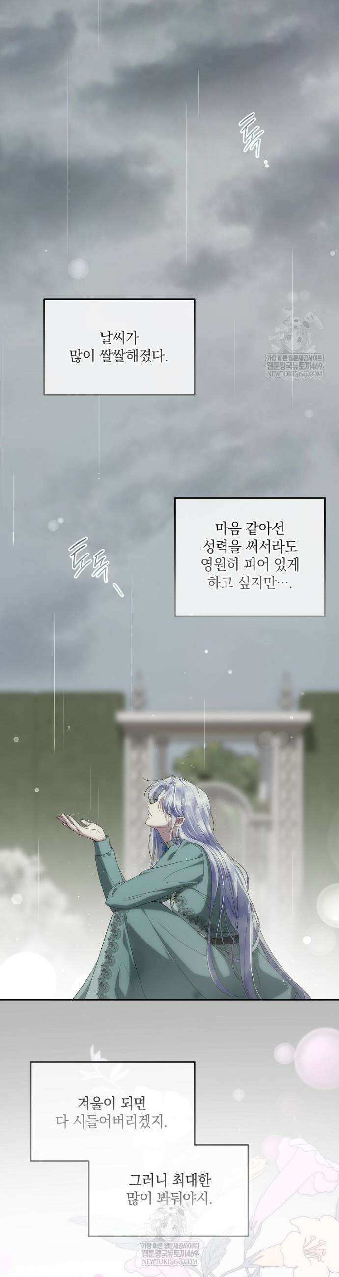 후원에 핀 제비꽃 92화 5