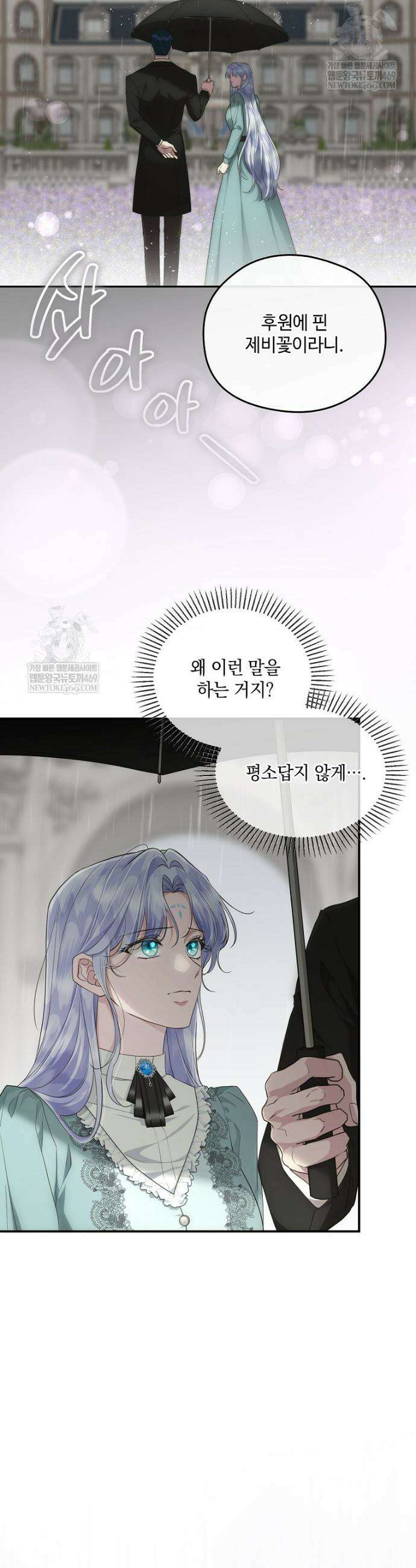 후원에 핀 제비꽃 92화 11
