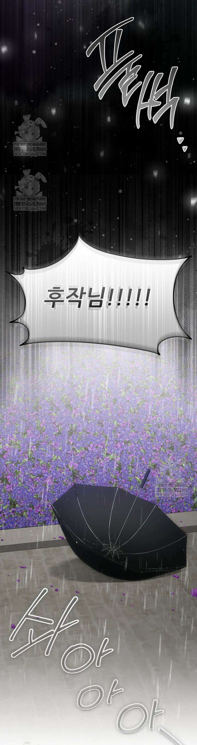 후원에 핀 제비꽃 92화 15