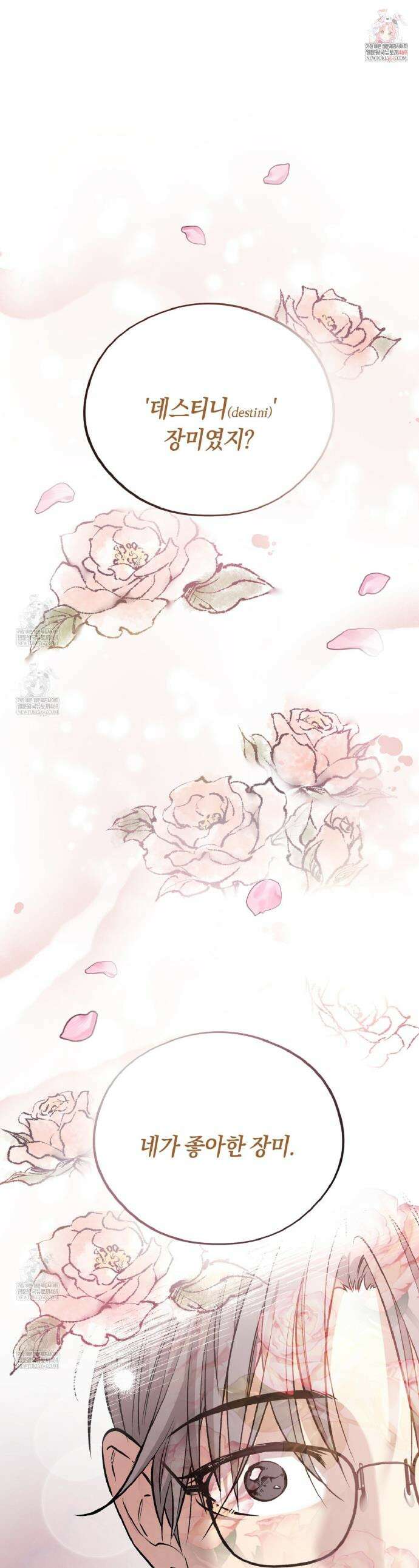 허니베어 95화 1