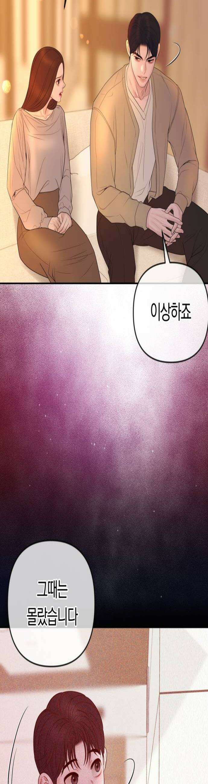 결혼은 당신 형과 54화 복수의 이유 3