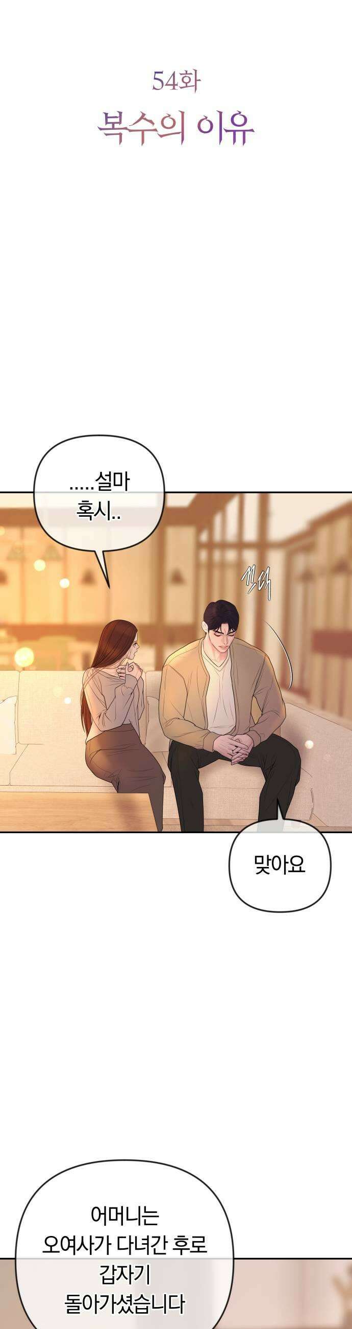 결혼은 당신 형과 54화 복수의 이유 9