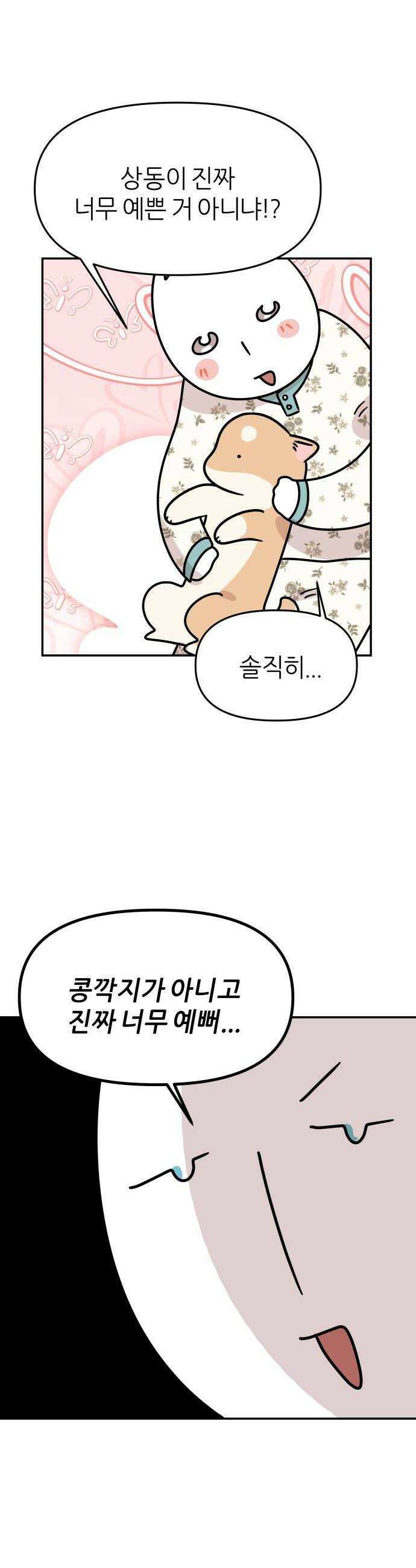 시바, 만만치 않다 80화 견플루언서 2