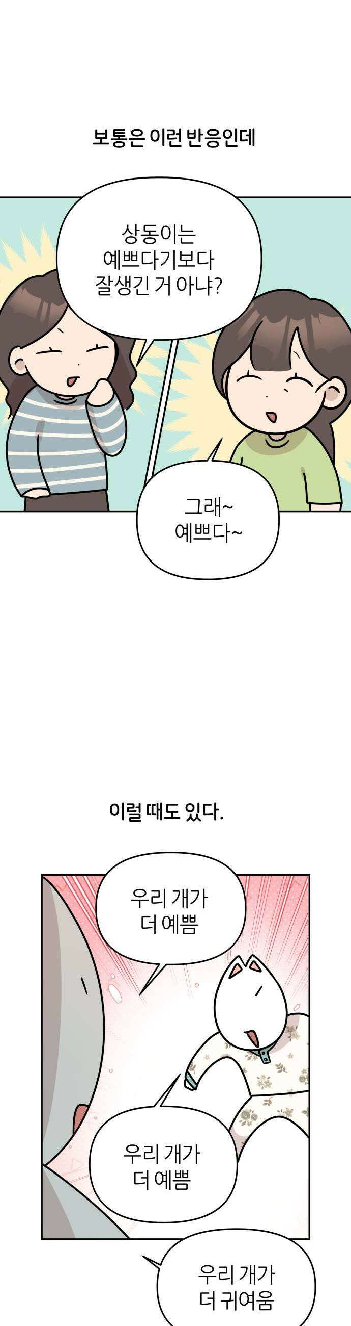 시바, 만만치 않다 80화 견플루언서 3