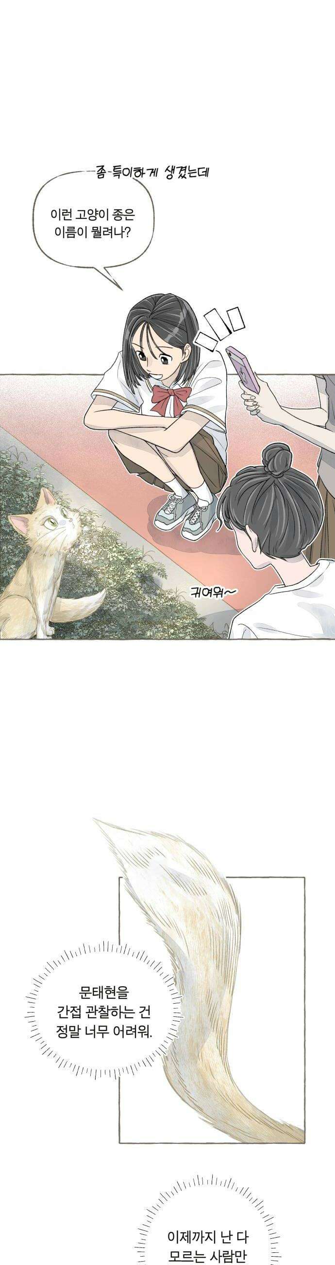 아이캣치유 08 오후의 랑데부 54