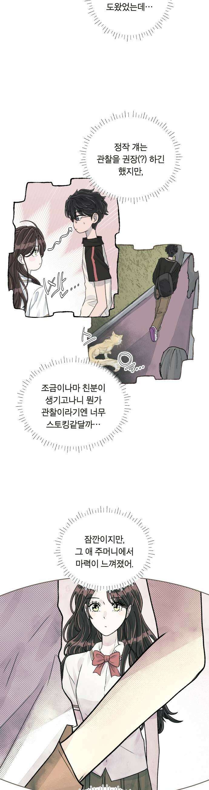 아이캣치유 08 오후의 랑데부 55