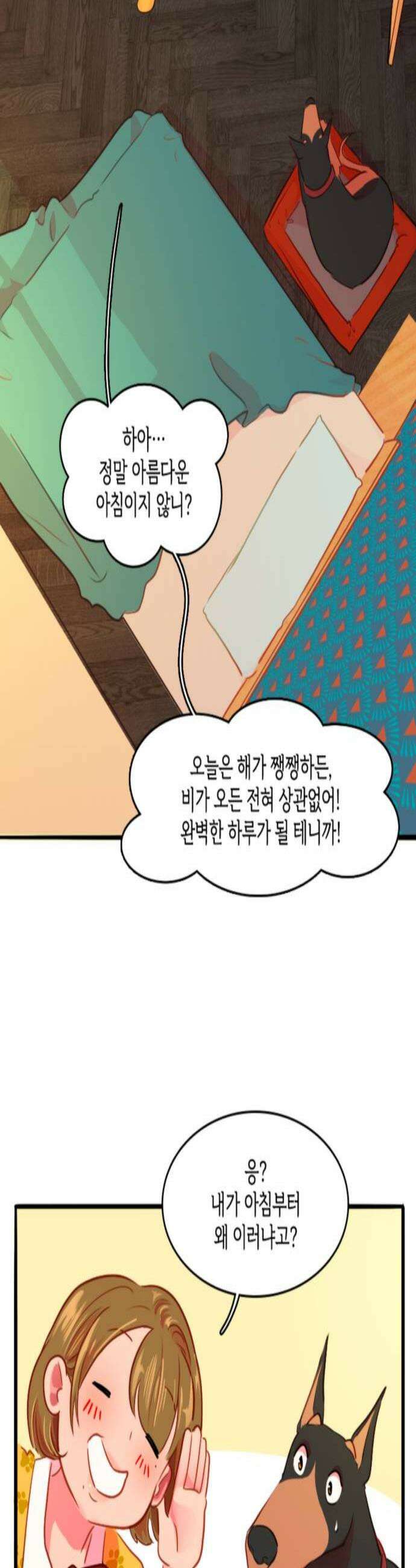 너랑 걷는 개 좋아 52화 2