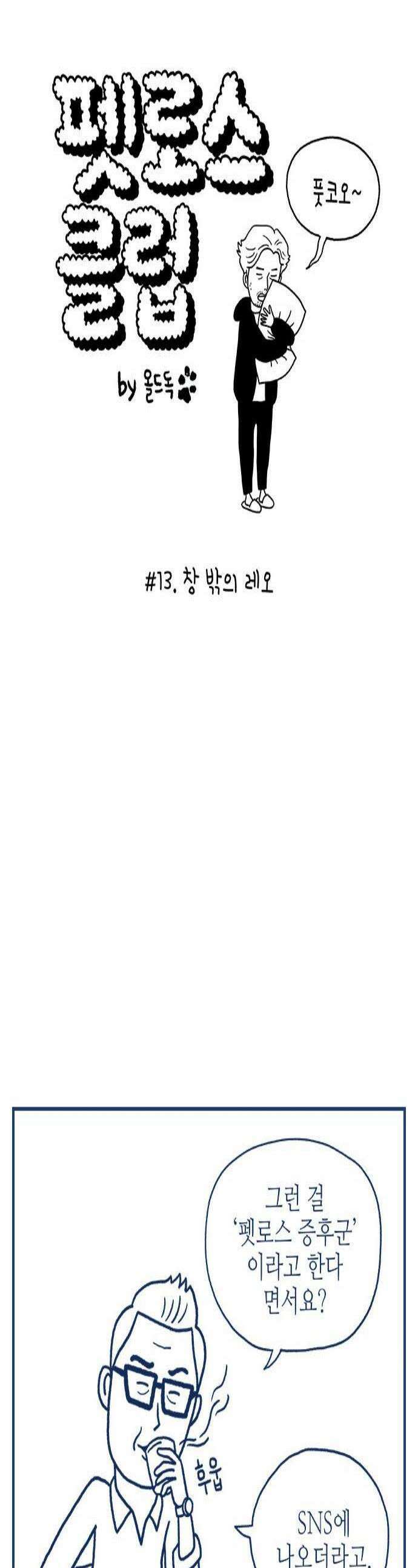 펫로스클럽 13 창 밖의 레오 1