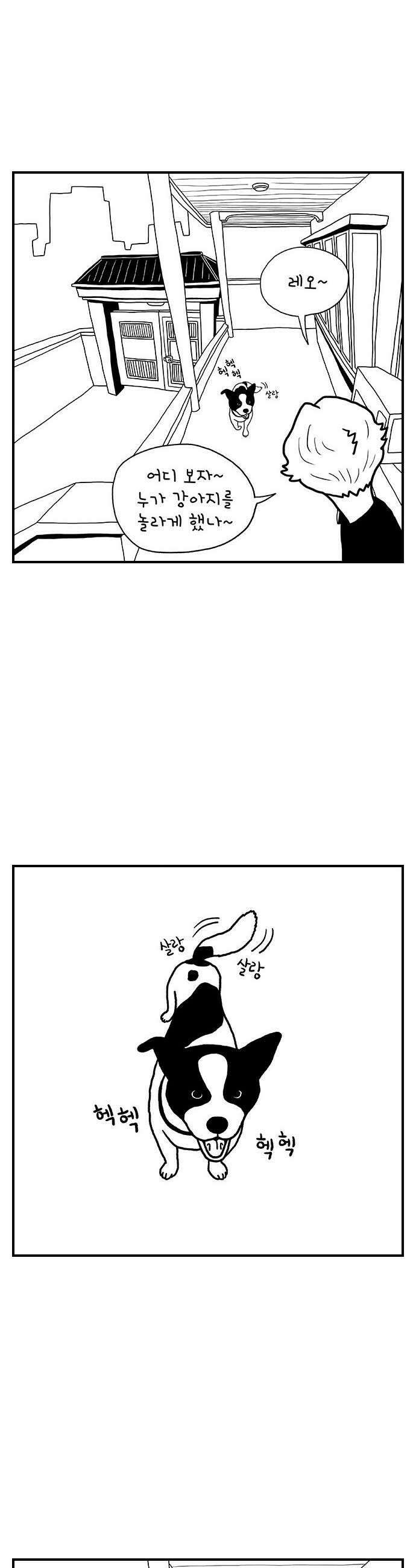 펫로스클럽 13 창 밖의 레오 20
